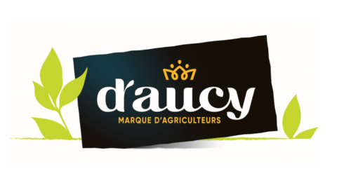 Logo Daucy